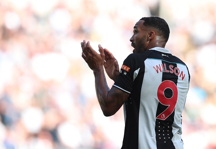 Newcastle United's Callum Wilson during the Premier League match against Southampton