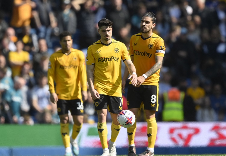 Wolves sẽ trở về sân nhà sau trận thua đậm trước Brighton ở vòng 34 Premier League